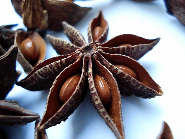 Free Badiyane Star Anise photo and picture