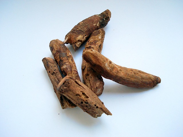 Free Rhubarb Rizomu Ravend photo and picture