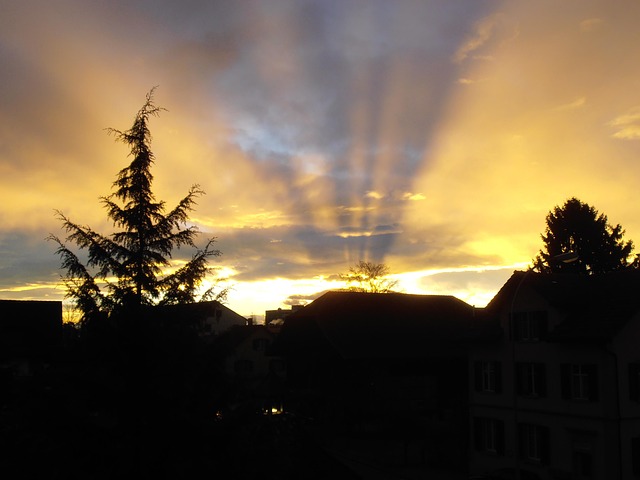 Free Sunrise Morgenstimmumg photo and picture