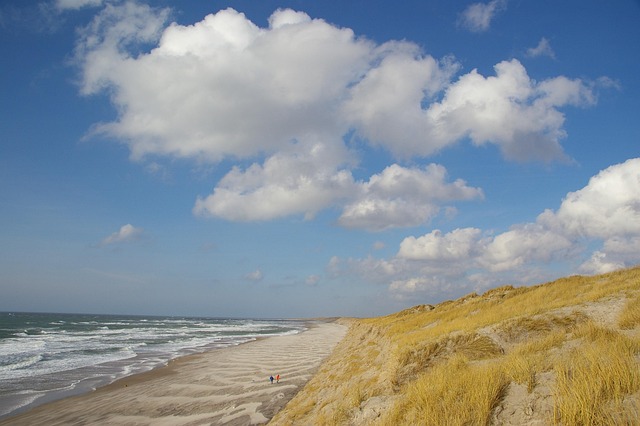 Free Beach Nature photo and picture