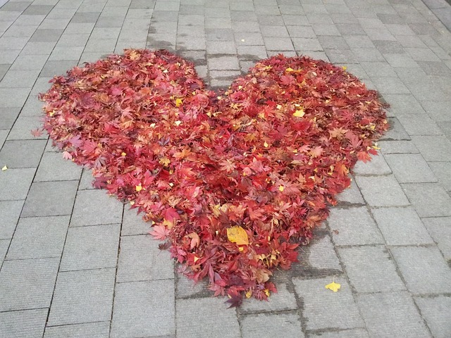 Free Love Autumn photo and picture