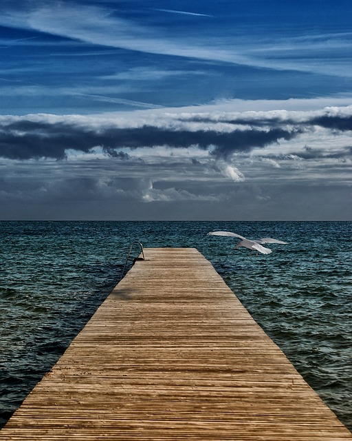 Free Web Sea photo and picture