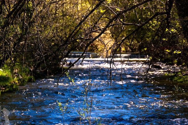 Free River Lozoya photo and picture