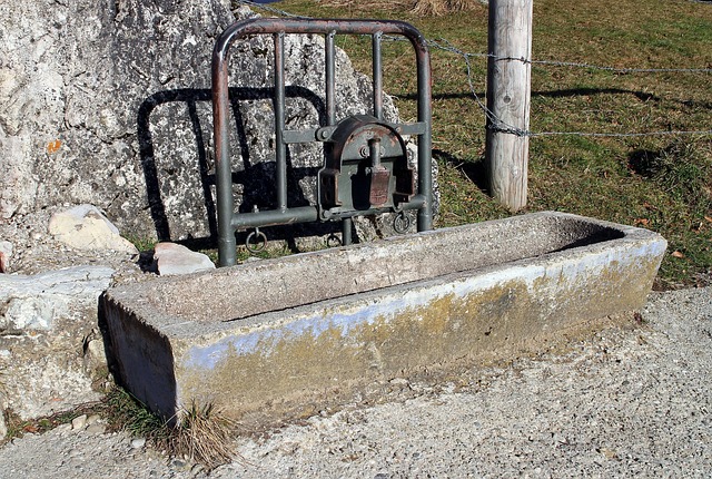 Viehtränke, Kuhtränke, Tränke, Alm