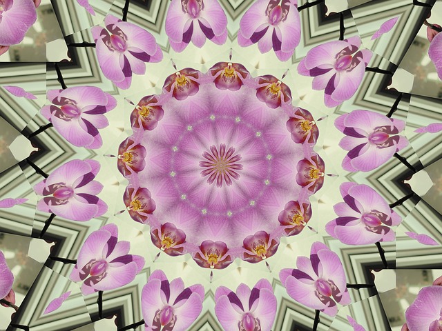 Mandala Orchids Kaleidoscope - Free image on Pixabay