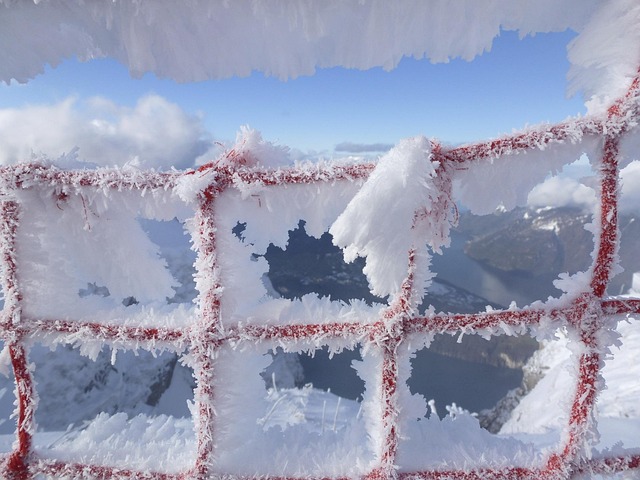 Free Fence Grid photo and picture