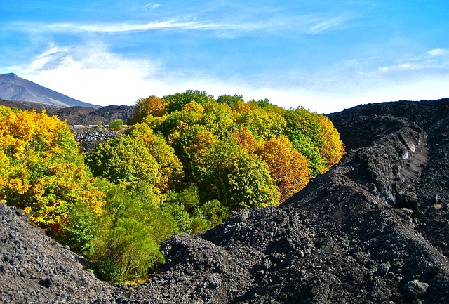 Free Lava Magma photo and picture