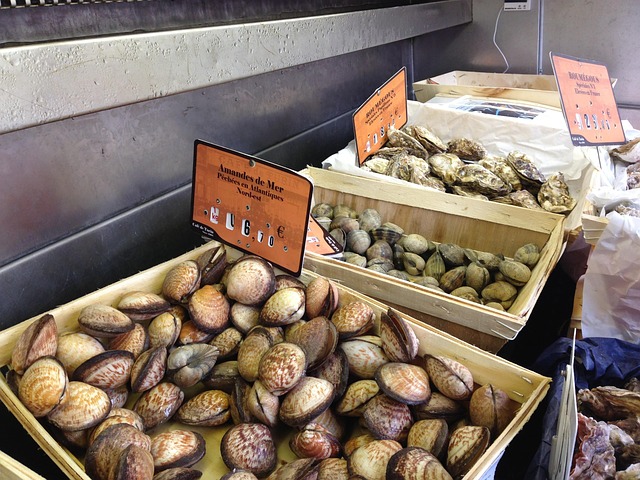 Free Shellfish Sea Fruit photo and picture