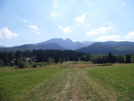 Bergen, Bomen, Landschap, Weergave