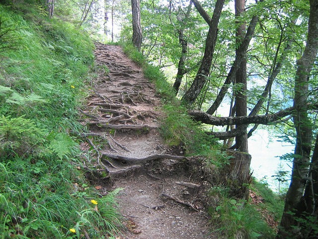 Free Hiking Trail Trail photo and picture