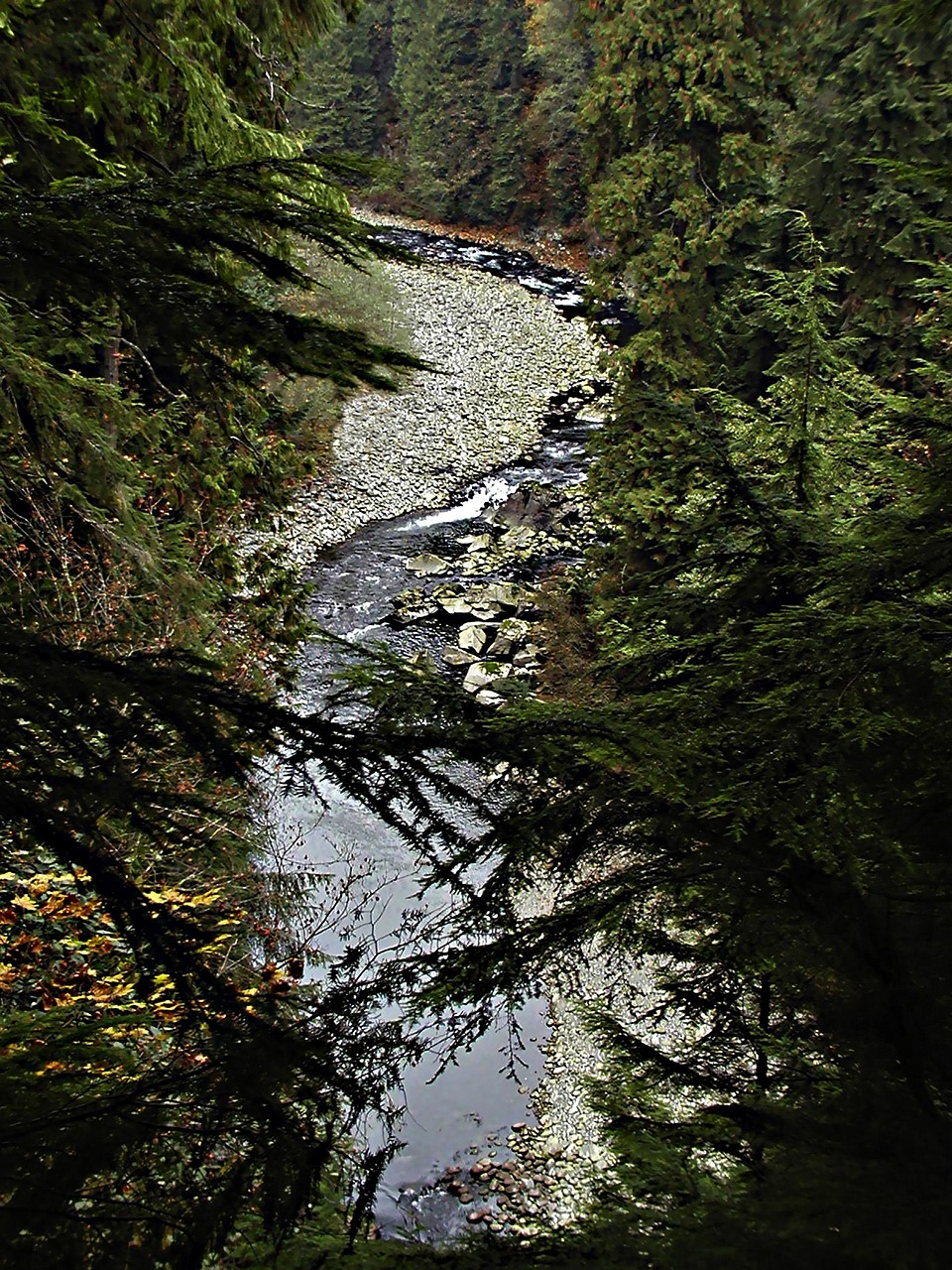 7+ Free Capile & Capilano Images - Pixabay