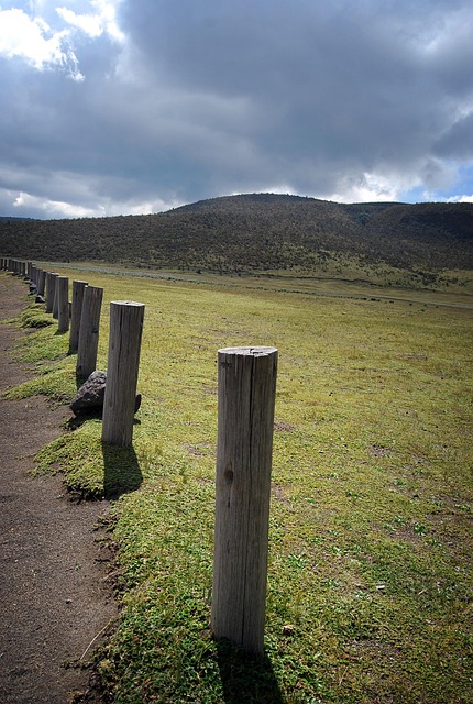 Free Barrier Stick photo and picture