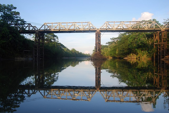 Free Amazon Bridge photo and picture