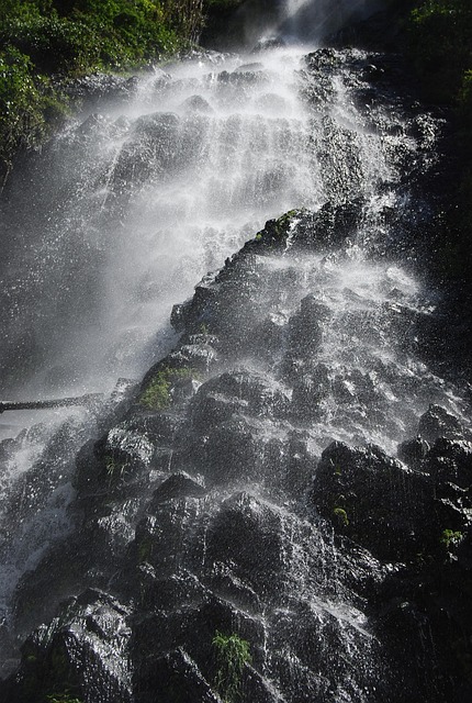 Free Waterfall Nature photo and picture