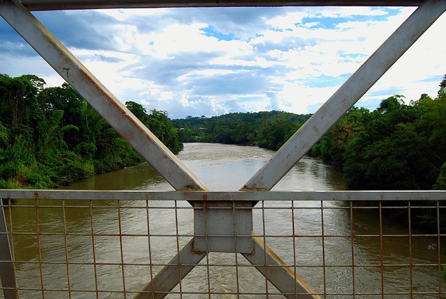 Free Amazon Bridge photo and picture