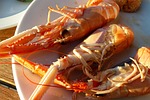 lobster, nephrops, delicious