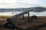 see saw, swing, swing device
