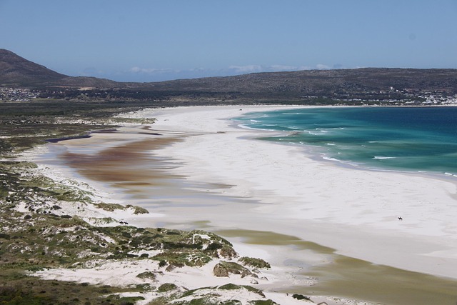 Free Sea Beach photo and picture