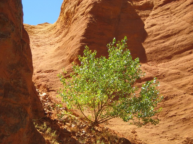 Free Rock Ocher photo and picture