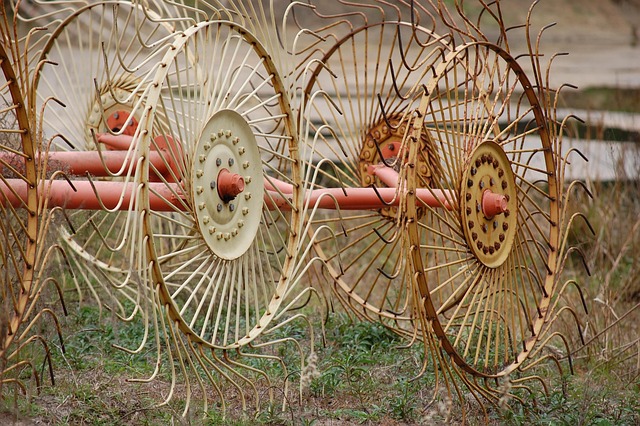 Free Hay Rake photo and picture