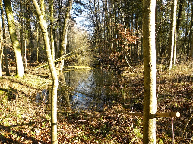 Free Rottenacker Trail photo and picture