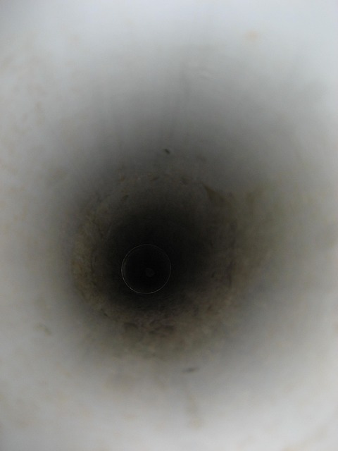 Free Tube Inside photo and picture