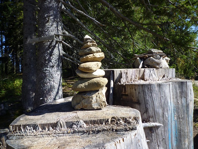 Free Balance Steinmann photo and picture