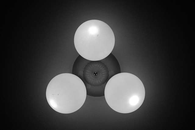 Free Light Round photo and picture