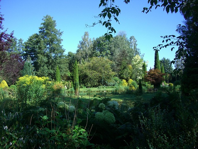 Marzellus Garten Biberachzell Kostenloses Foto auf Pixabay Pixabay