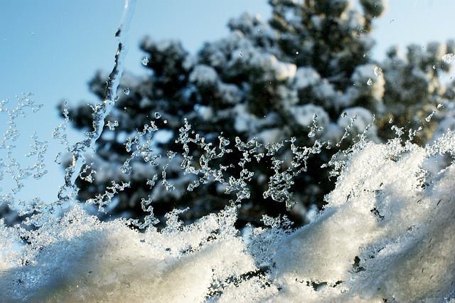 Free Winter Frost photo and picture