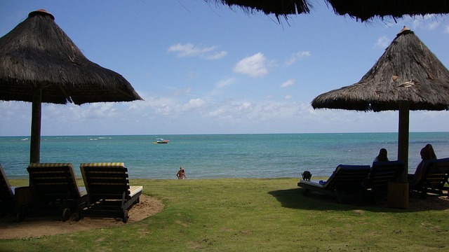 Free Sea Beach photo and picture