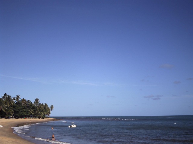 Free Beach Nature photo and picture