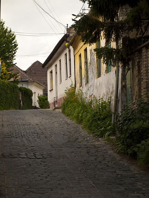 Free Vac Street View photo and picture