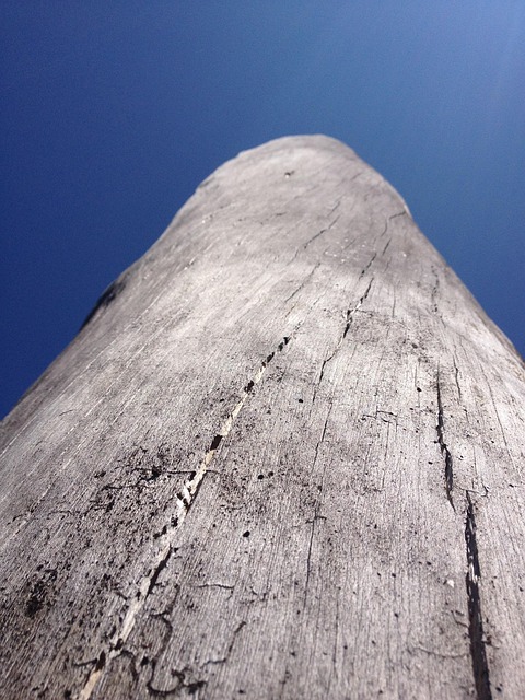 Free Wood Old photo and picture