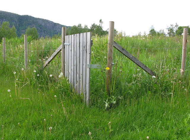 Free Fence Wood photo and picture