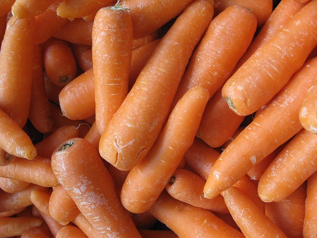 Free Carrots Vegetables photo and picture
