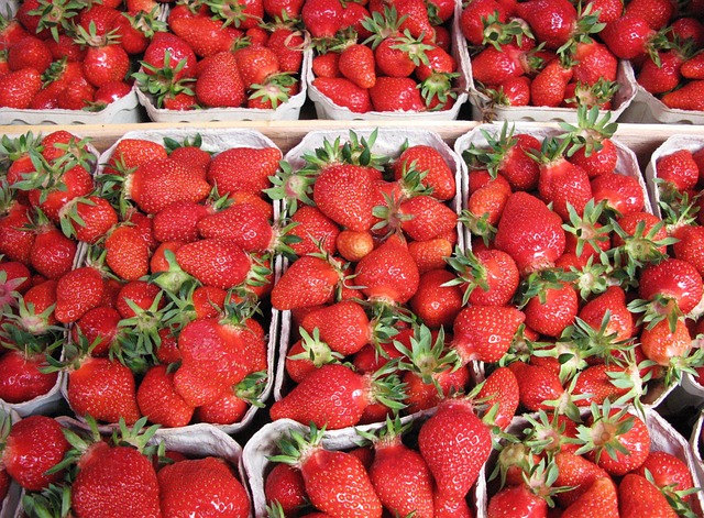 Free Strawberries Harvest photo and picture