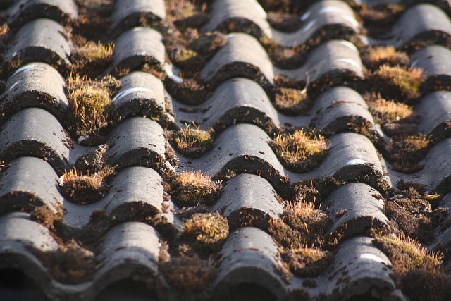 Free Roof Tiles Roof photo and picture