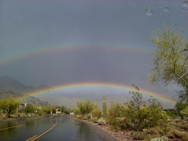 Free Rainbow Street photo and picture