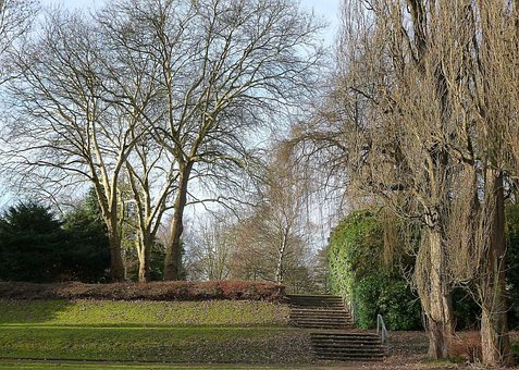 Begraafplaats, Park, Trap, Bomen, Winter