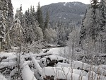 snowscape, winter, winter creek