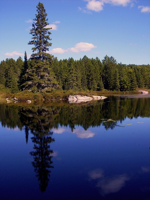Free Nature Lake photo and picture