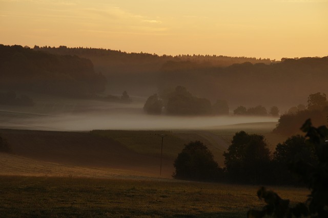 November, Sonnenaufgang, Nebel, Stimmung