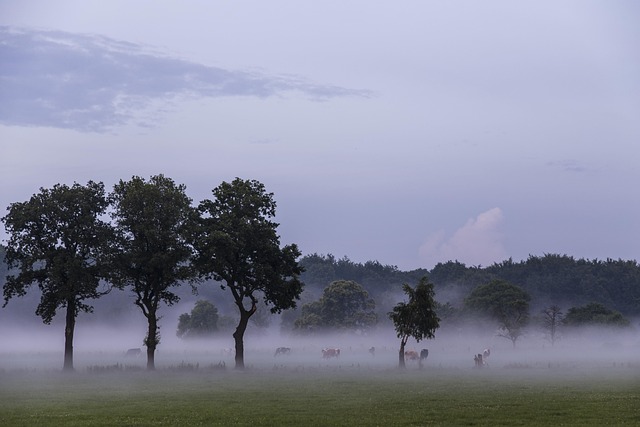 Free Landscape Nature photo and picture