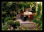 garden, flowers, nature