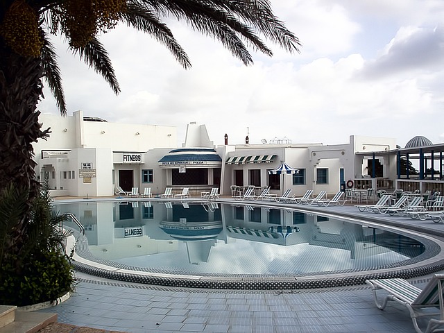 Free Swimming Pool Palm photo and picture