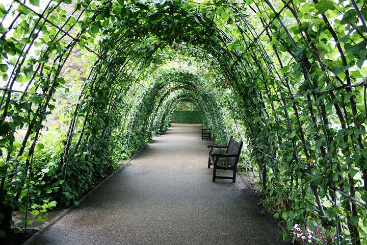 40+ Free Plante Tunnel & Tunnel Photos