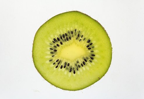 Free Kiwi Fruit photo and picture