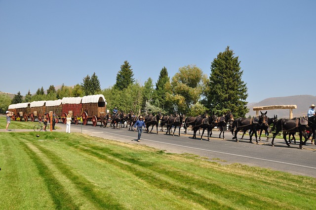 Western Cowboy Wagon - Free photo on Pixabay