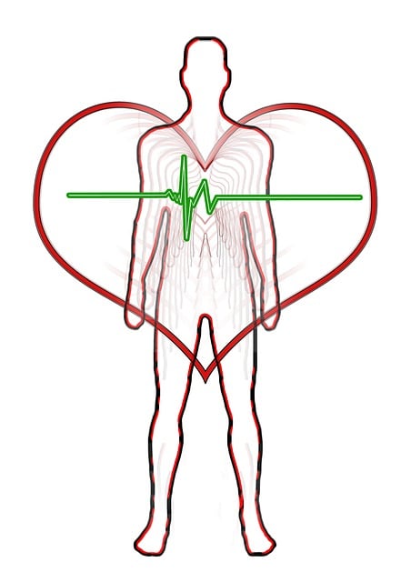 Rhytmus, Kurve, Patient, Ganzheitlich
